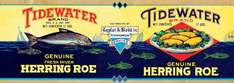 Tidewater-Herring-Roe--Taylor-and-Sledd,-Inc.jpg