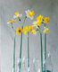 daffodil6.jpg