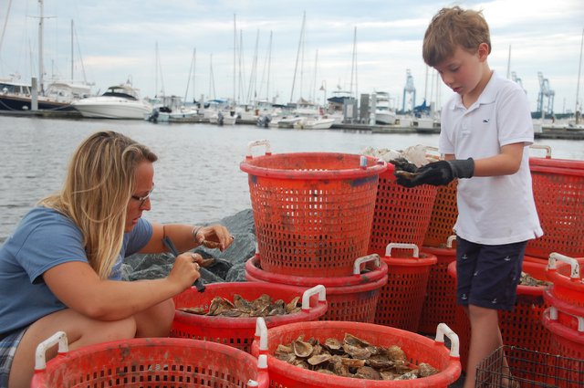 Heather North of CBF and Graham Mitchell pick out oyster spat for Graham to raise (Credit Kenny Fletcher-CBF).JPG