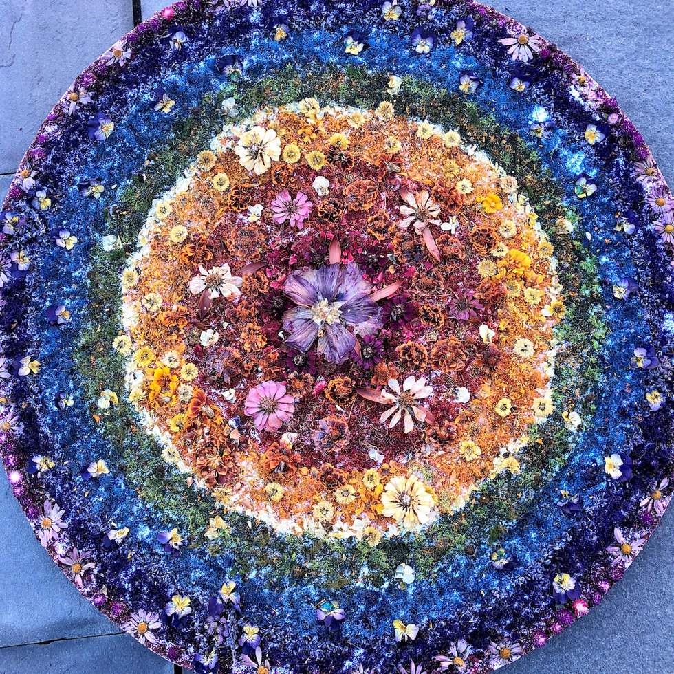 Mandala of dried botanicals.jpg