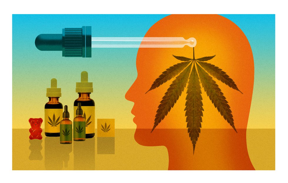 Cannabis.illustration.jpg