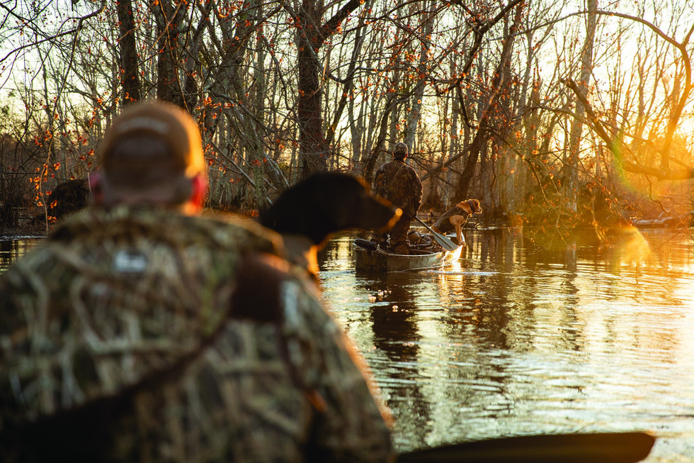 Chickahominy River duck hunt with dogs