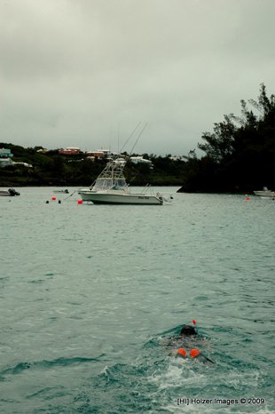 Bermuda - Snorkeling