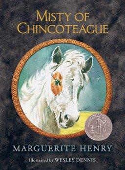 misty-of-chincoteague-BOOKCOVERNOTAPPROVED.jpeg