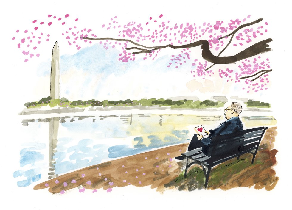 Re blossom Kissinger illustration.jpg