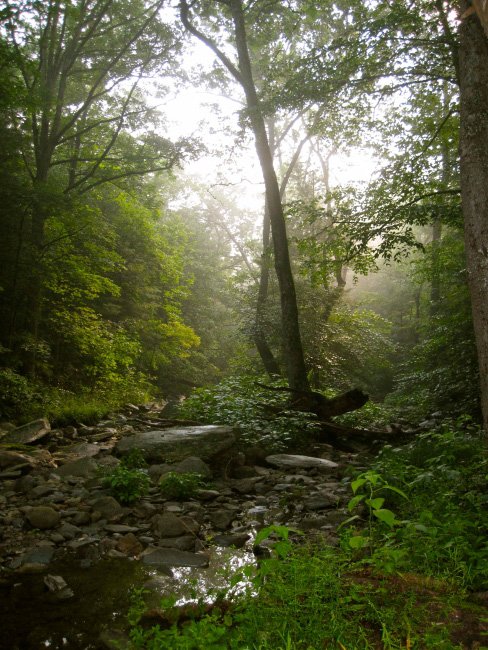 Mountain-stream-off-the-Appalachian-Trail.jpg