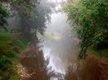 Catoctin-Creek---Summer-Fog---Susan-MacKenzie---Courtesy-of-Scenic-Virginia.jpg