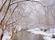 Catoctin-Creek-in-Winter---Susan-MacKenzie---Courtesy-of-Scenic-Virginia.jpg