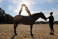 Horseback-Yoga.jpg